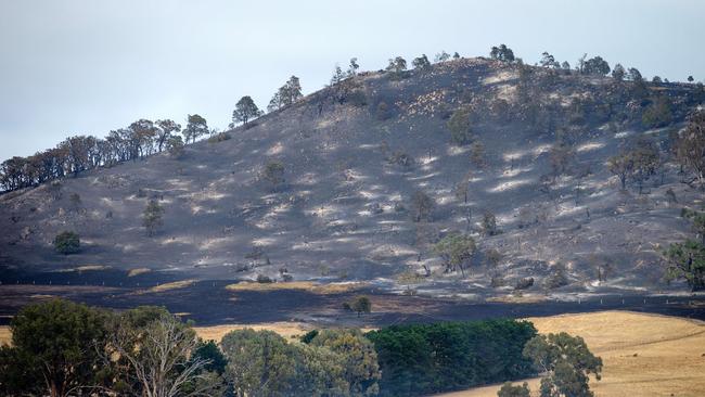 Burnt hills around Lexton after a bushfire threatened the central Victorian town. Picture: Mark Stewart