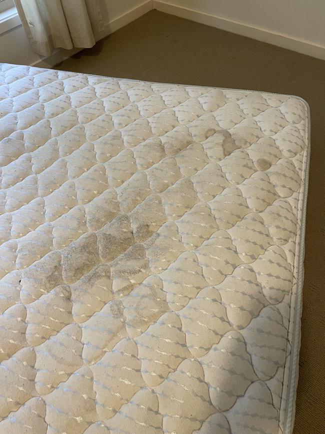 Mould growing on a mattress.