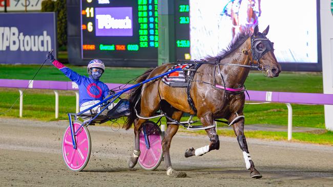 Minstrel, pictured after his WA Pacing Cup win, is the new favourite for the $1.25 mllion barrier draw after a poor draw saw Swayzee drift. Picture: Pacepix