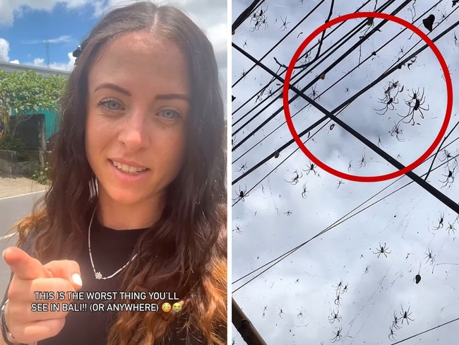 Grace Kelly filmed hundreds of spiders hanging in webs in a scene that could be mistaken for a Halloween display on the side of a remote road between Ubud and Mount Batur. Pictures: @graces__adventures