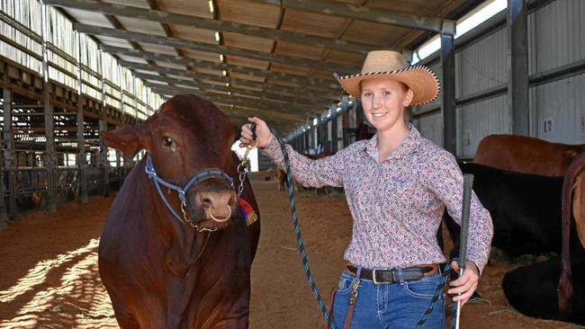 Rockhampton Agricultural Show Supreme Champion Bull Bilo High Commando with leader Candice Rideout. Picture: Geordi Offord