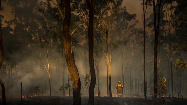 A firefighter observes the damage caused by bushfires during the summer disaster.