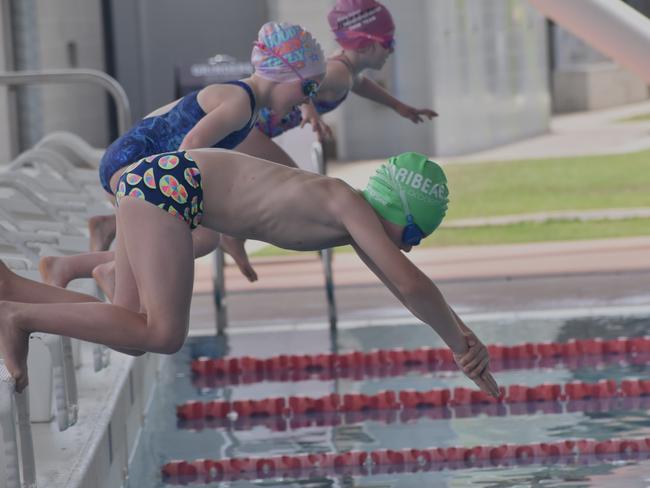 Beef City Swim Meet at 2nd World War Memorial Aquatic Centre, Rockhampton, on October 26, 2024. Photo: Pam McKay