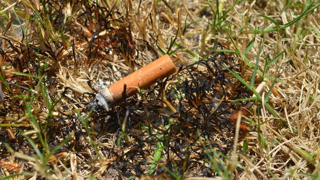 EPA Victoria warned discarded cigarettes can cause bush and grass fires. Photo: Jill Poulsen.