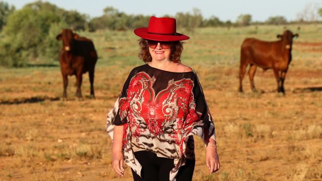 Gina Rinehart has expanded her business interests in the Northern Territory. PICTURE: Supplied