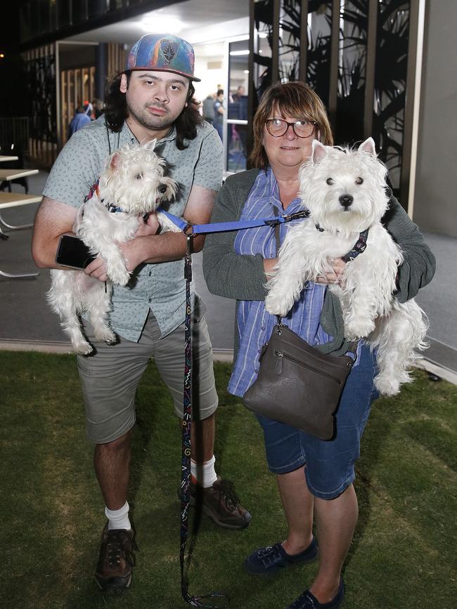 Andrew and Suzanne Johnson with their dogs Kirra and Geordie at the Coolum Surf Club after being evacuated from their home. Picture: AAP Image/Josh Woning