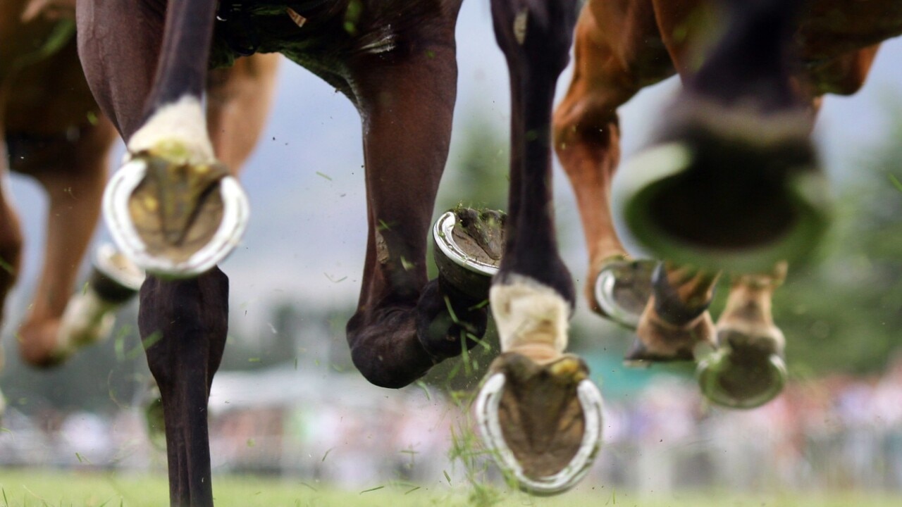 Perth Cup 2023 called off midrace after horse falls The Australian