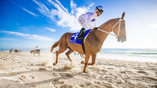 Jockey Brenton Avdulla rides the Gai Waterhouse and Adrian Bott-trained Summer Loving in the beach races at Surfers Paradise for the Magic Millions barrier draw. Picture: Nigel Hallett