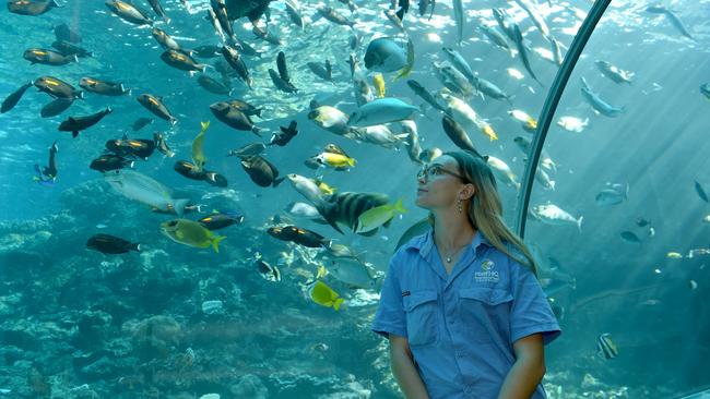 Behind the scenes at Reef HQ. Picture: Evan Morgan