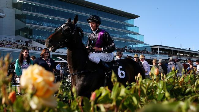 Nash Rawiller aboard Fiorente before Saturday's Turnbull Stakes at Flemington. Picture: Colleen Petch