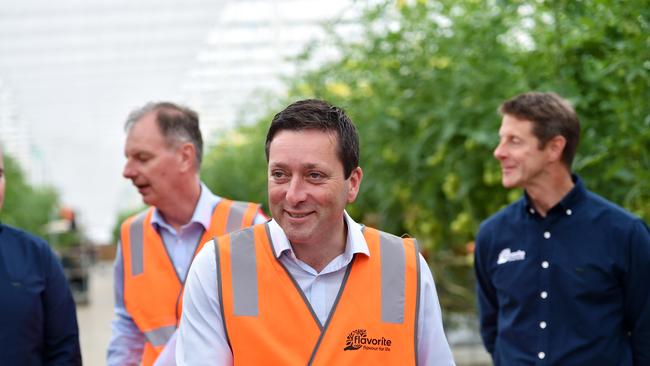 Leader of the Liberal party Matthew Guy played down reports of the social media activity. Picture: NCA NewsWire / Nicki Connolly