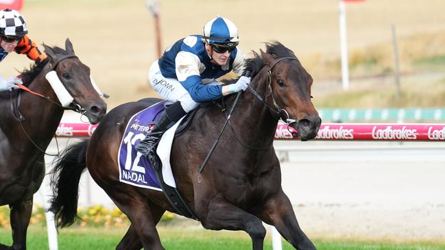 Nadal ridden by Ethan Brown wins the The Ladbrokes Meteorite at Cranbourne Racecourse on November 23, 2024 in Cranbourne, Australia. (Photo by Scott Barbour/Racing Photos via Getty Images)