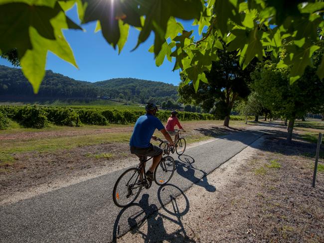 Explore the fine fare by road or bicycle along the Murray to Mountains Rail Trail in northeastern Victoria. Picture: Tourism North East