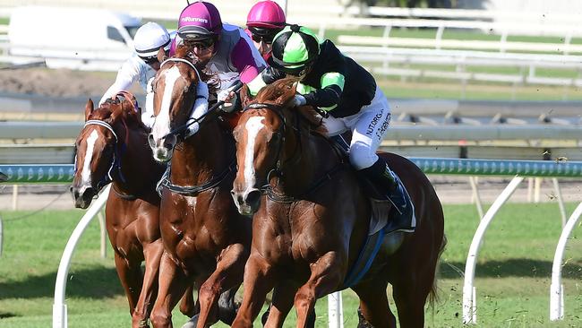 Gotta Kiss is chasing her first win since May. Picture: Trackside Photography