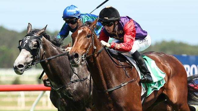 KEMBLA GRANGE, AUSTRALIA - NOVEMBER 23: Jason Collett riding  Gilded Water wins Race 5 PFD Food Services during "The Gong Day" at Kembla Grange Racecourse on November 23, 2024 in Kembla Grange, Australia. (Photo by Jeremy Ng/Getty Images)