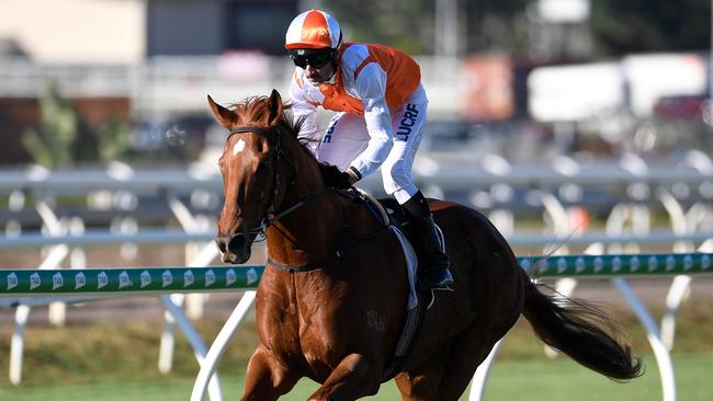 Vow and Declare thrashed the older horses in the Tattersall's Cup at Eagle Farm. Picture: AAP