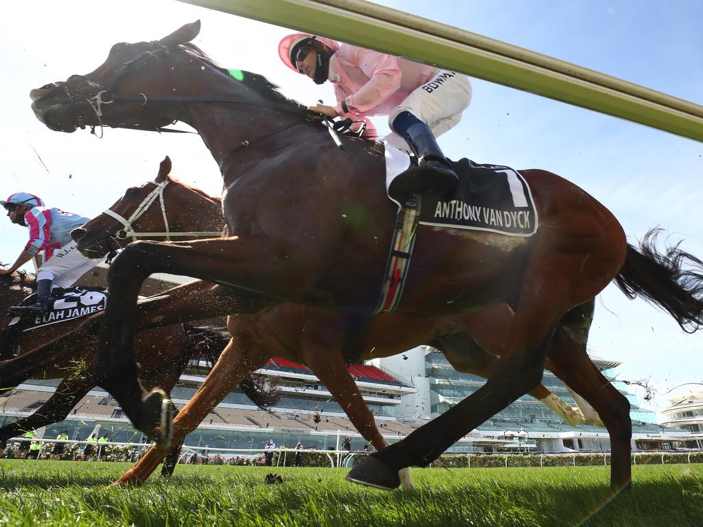 Melbourne Cup horse deaths List of runners that have died CODE Sports