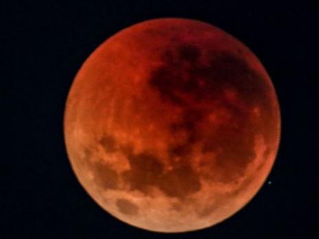 The blood moon over Sydney, Australia today. Picture: Nicholas Eager