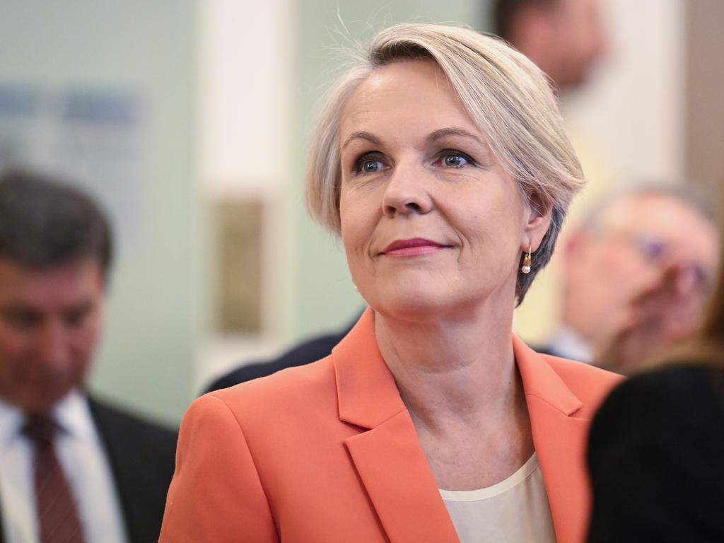 Tanya Plibersek has been moved from the environment portfolio. Picture: NewsWire / Martin Ollman