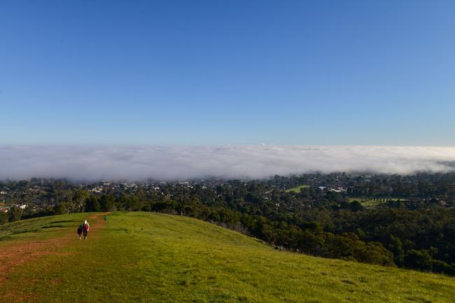 Fog blanketing Adelaide from Brownhill Reserve on July 14. Picture: Brenton Edwards