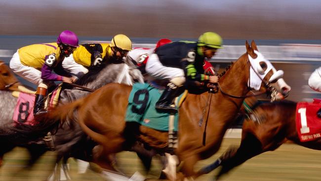 Generic: thoroughbred horse racing