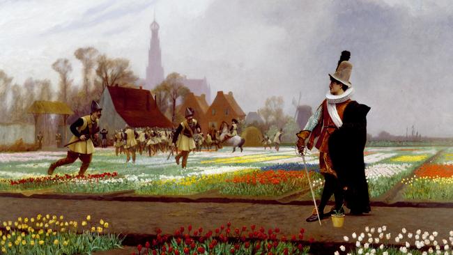 History. The Tulip Folly an 1882 painting by Jean-Leon Gerome illustrating the Dutch Tulip Mania of 1637. Public domain