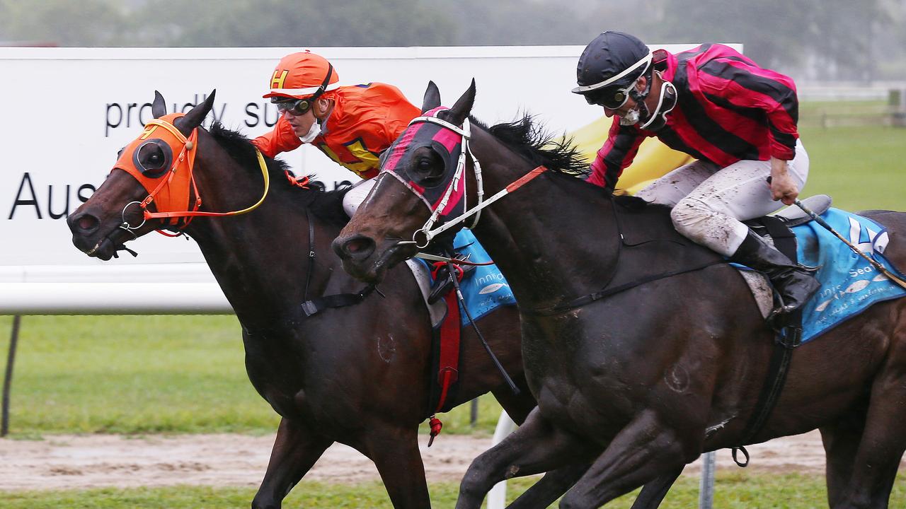 Brilliant Mind, ridden by Marnu Potgieter (orange silks), is narrowly beaten by Tutelage, ridden by Scott Sheargold in Race 5 of the Banana Industry Race Day, held at the Innisfail Turf Club. Picture: Brendan Radke