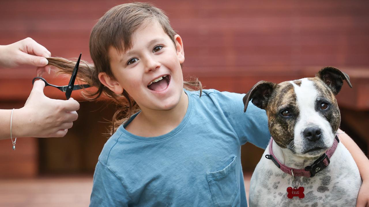 Leo Saw’s grandmother offered to pay him to cut off his mullet, so the nine-year-old decided to turn his haircut into a fundraiser for the Lost Dogs’ Home. He is pictured here with his dog, Elle. Picture: David Caird