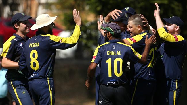 Plenty Valley players celebrate a wicket.