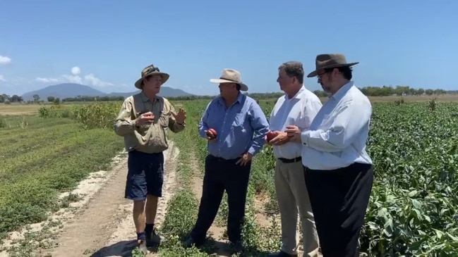 Bowen Gumlu growers welcome $6.9m funding to sure-up water supply