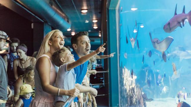 Sea World operator Village Roadshow is falling into private hands.