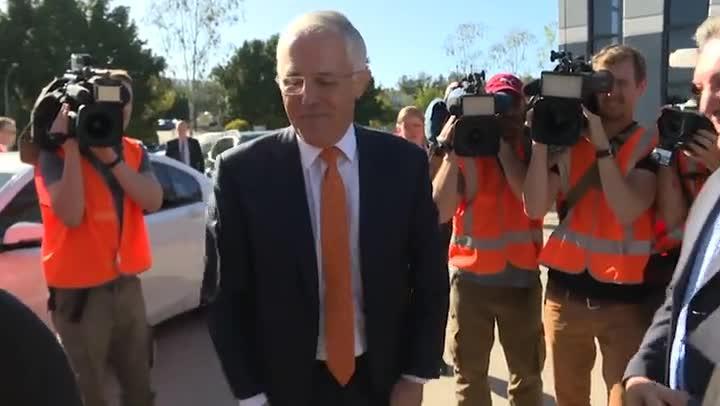 Turnbull Election Wrap day 11