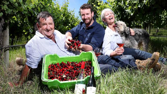 The Wotton family will open a new cellar door at Greenhill Road in Uraidla. Grant with his wife Annie, son Cam, and Massie the dog. Picture Sarah Reed