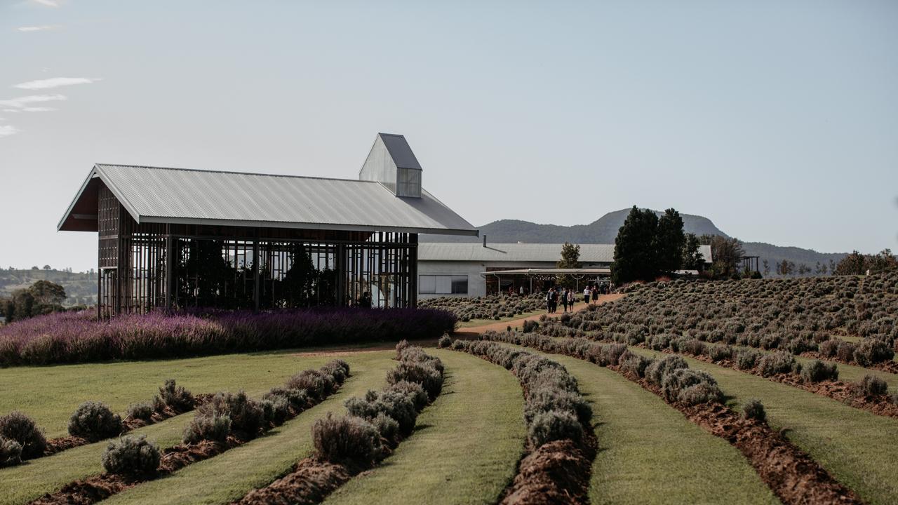 Kooroomba Vineyard and Lavender farm.