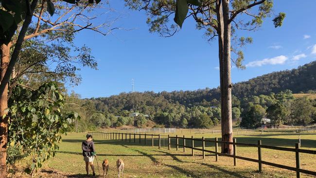 A beautiful walk at an Upper Coomera easement on the Gold Coast. Picture: Amanda Robbemond