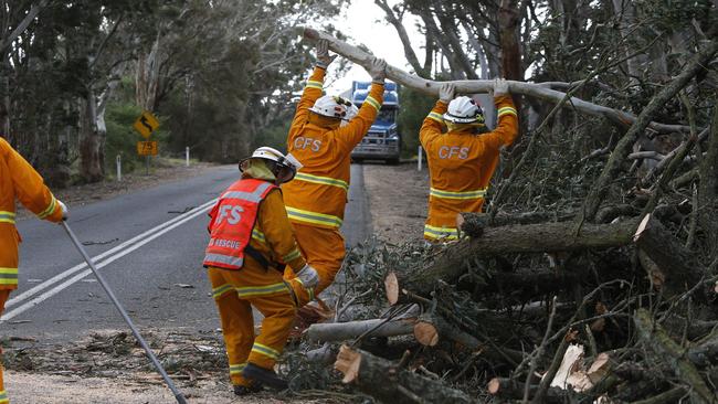 CFS crews clean up a fallen tree on Terlinga Road in Mount Torrens. Picture: Simon Cross