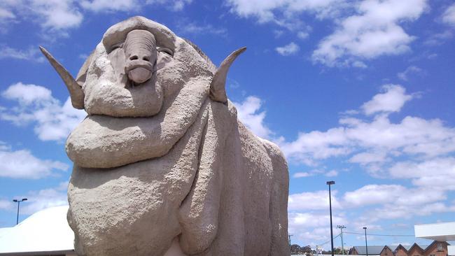 The big ram at Goulburn, NSW