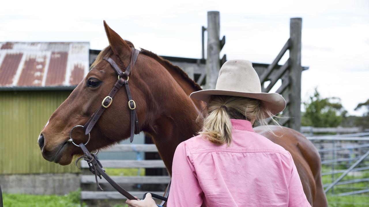 Claire says its the idea of the “conscientious omnivore” that she is trying to communicate through her use of social media. “You don’t have to feel bad about eating meat if you know where it has come from and it s been down properly.”