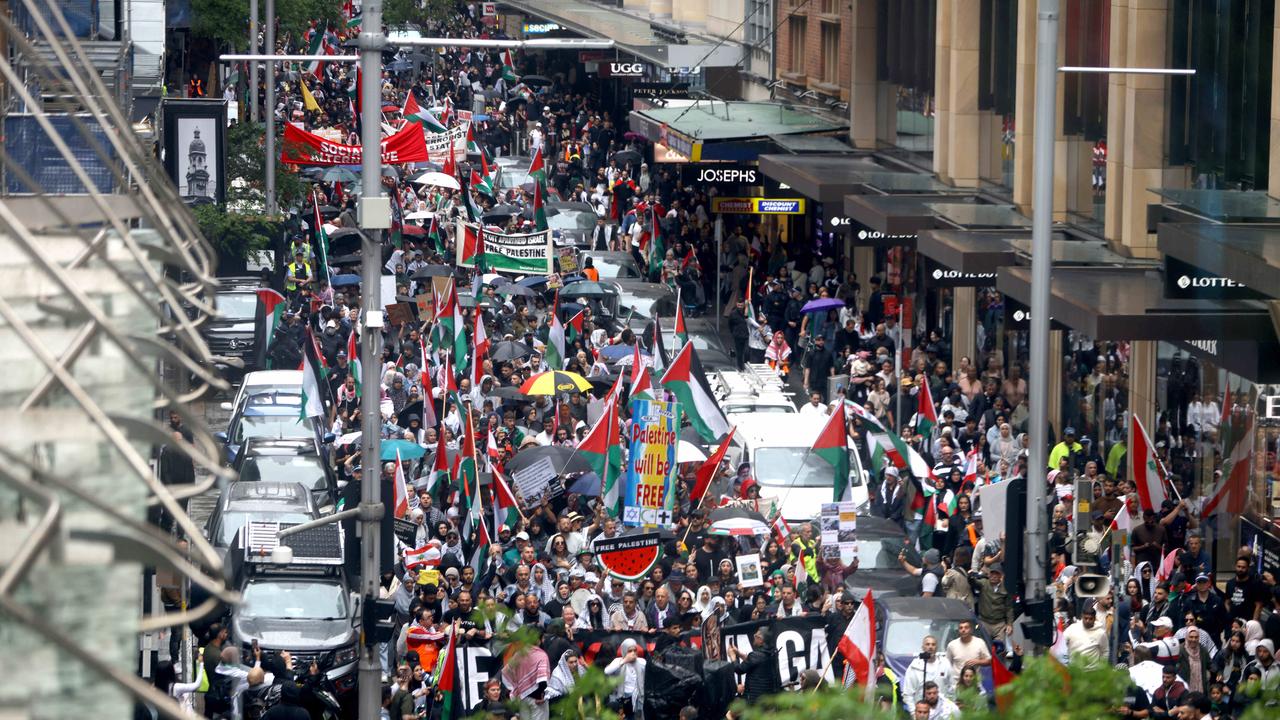 Cops face off with pro-Palestine protesters