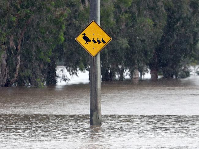 Oxley Rd in Brisbane’s southwest was closed due to flooding yesterday. Picture: Zak Simmonds