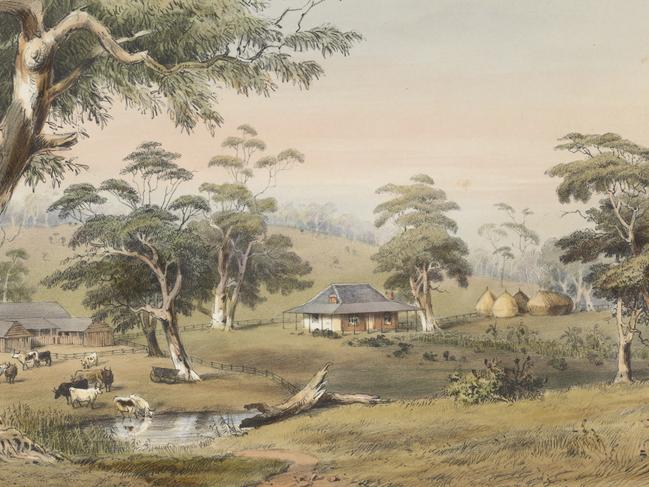 George French Angas, Terraworta on the Gawler River, 1849, National Library of Australia