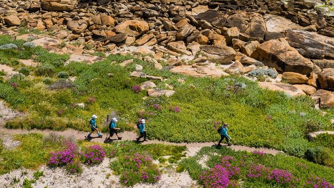 Coastrek Margaret River Route. Picture: Instagram