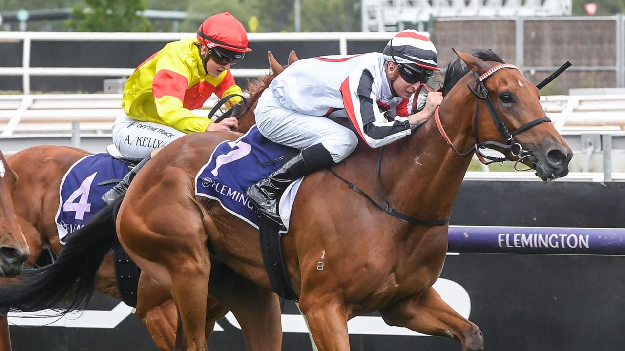 billy slater thoroughbreds magic millions philadelphia storm flemington daily telegraph