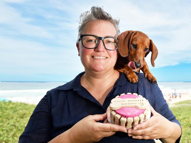 Gender reveals a piece of cake for Noosa dog business