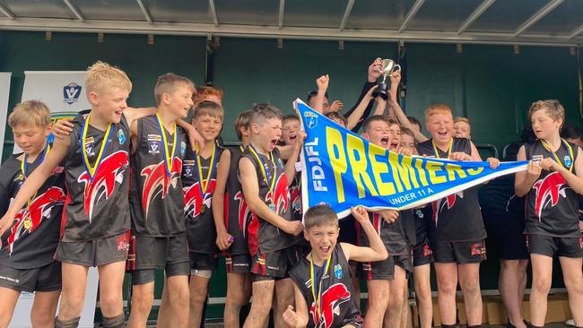 Frankston Dolphins celebrate their flag.