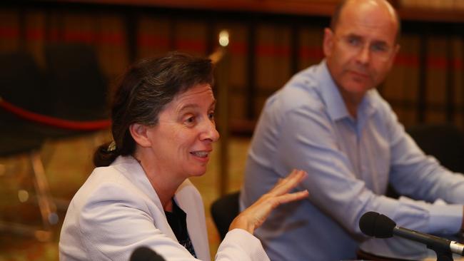 Constitutional law expert Anne Twomey. Picture: John Feder