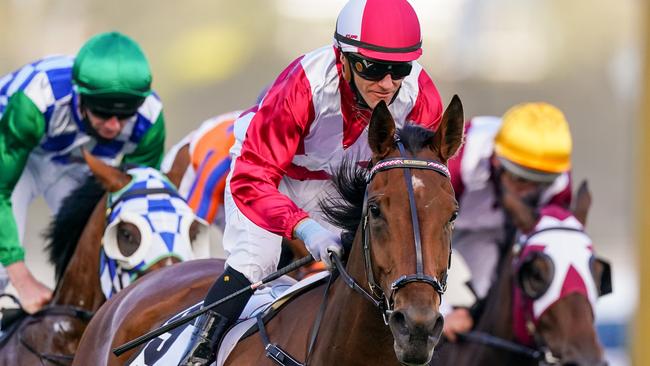 Arcadia Queen takes out the Group 1 Mackinnon Stakes at Flemington.