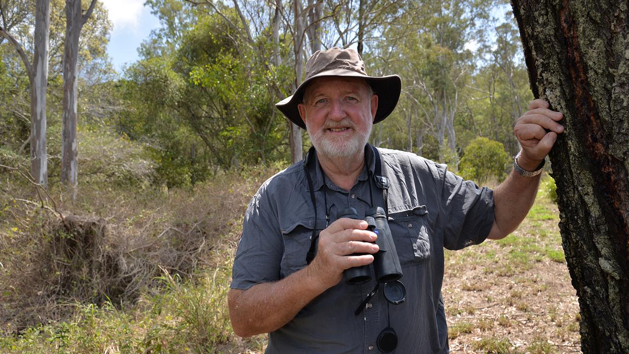 Logan City Council buys up Bahrs Scrub bushland for conservation | The ...