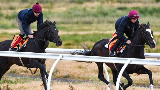 Irish raiders The Cliffsofmoher (left) and Yucatan are among a strong international contingent for this year’s Melbourne Cup. Picture: Getty Images