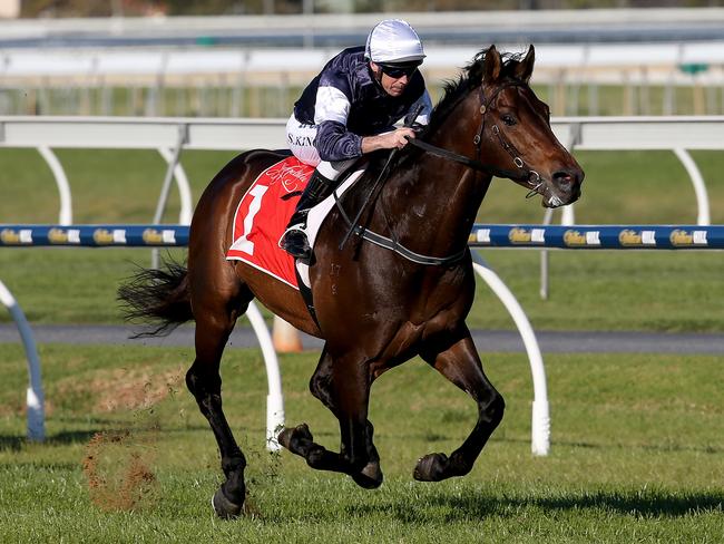 Amralah hits top gear during his hit-and-run visit to Morphettville. Picture: Simon Cross